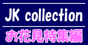 JK collection ԌW