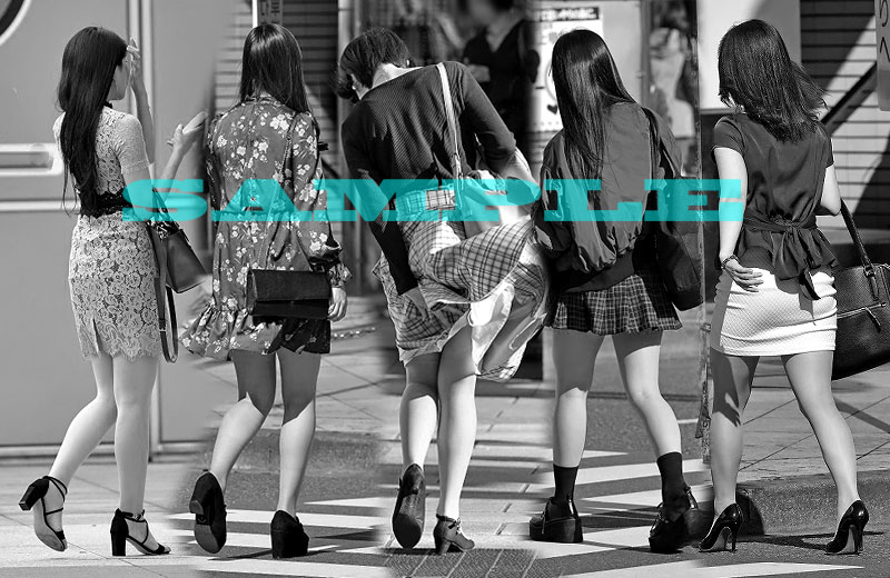 LL@vol.533