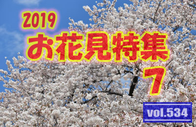 LL@vol.534