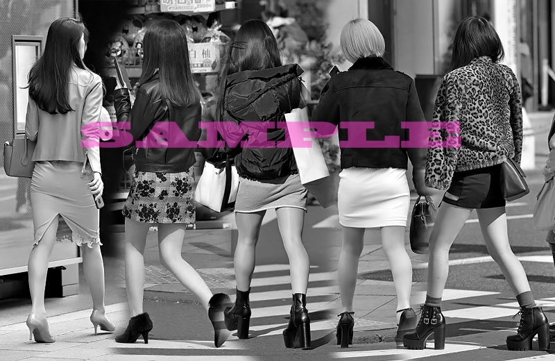 LL@vol.543